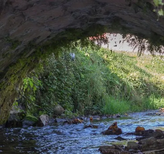 Sephora House * Stari Majdan